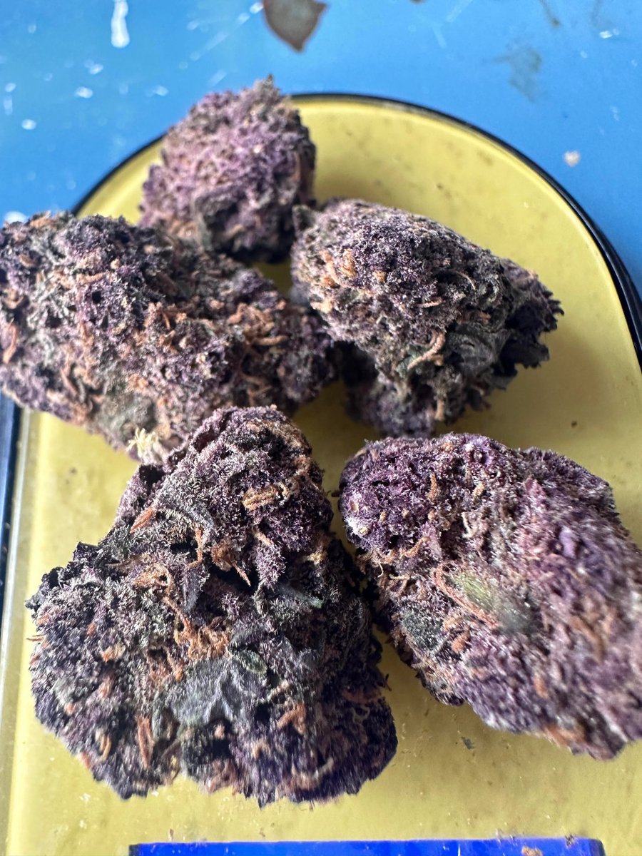 TopNotchWeed's tweet photo. Black Runtz
#Cannabis #420friendly #420life #Weed #WeedDay #WeedLovers #Stoners #Stoner #weedsmokers #Smoking #Cannabisculture #Smoking #Crypto #BTC #Bitcoin https://t.co/f3Hy09BlSs