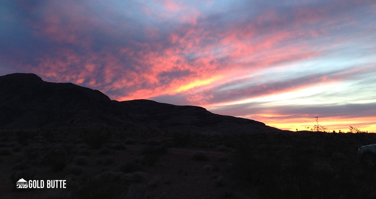 New Bioblitz Event and March Match Update - mailchi.mp/friendsofgoldb…