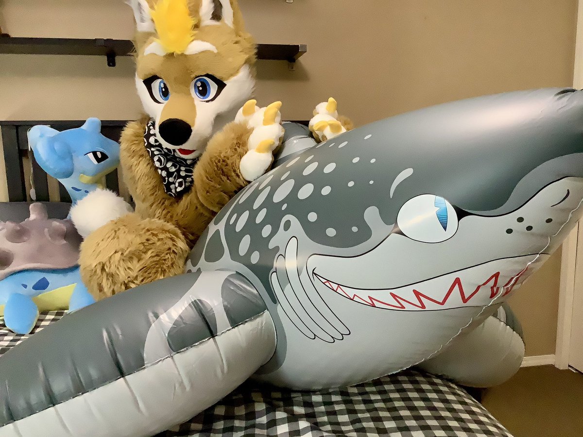 Chubbydigits_'s tweet image. #shibashark
#SqueakySaturday @HorseplayToys