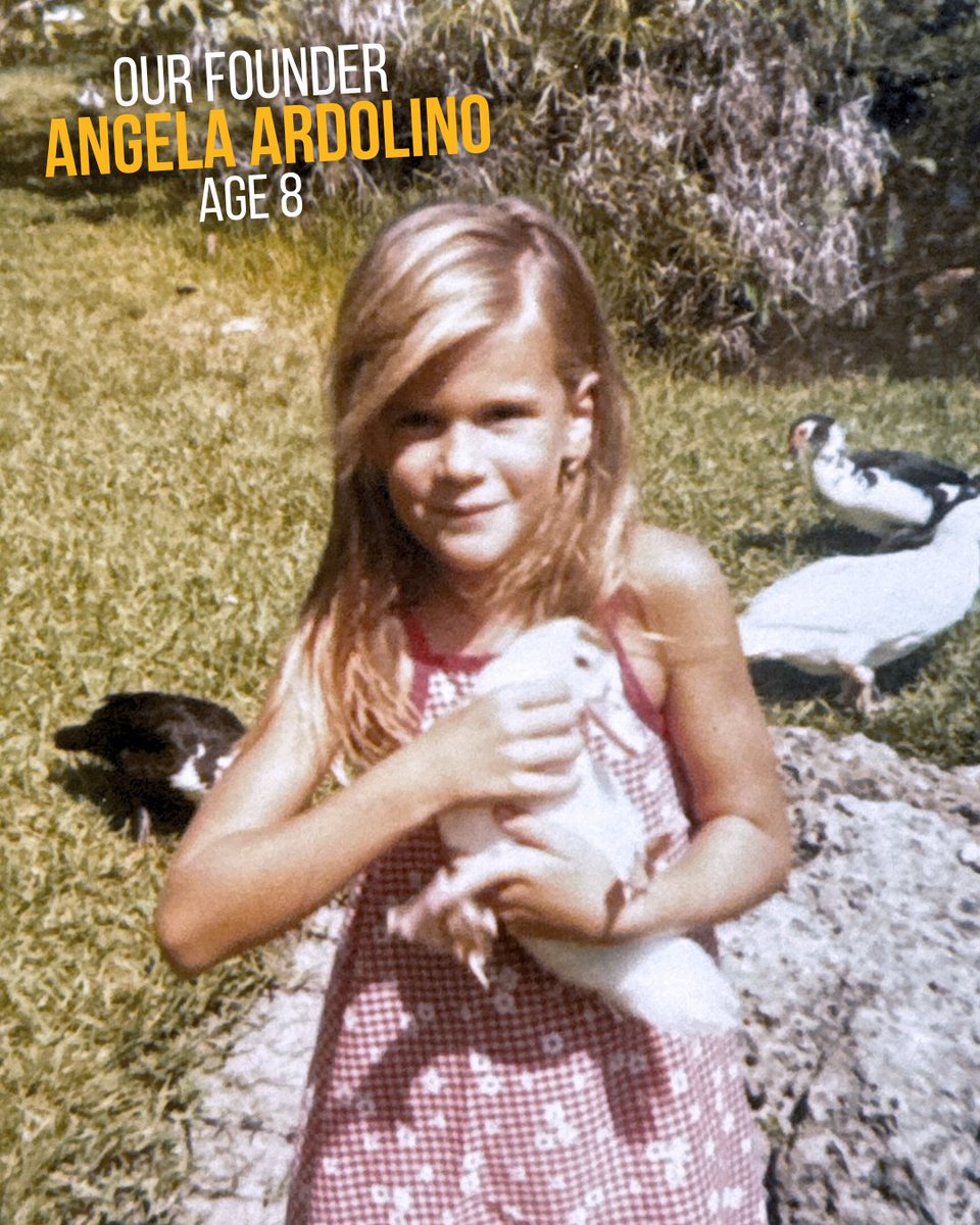 From the time she was a little girl, Angela Ardolino's heart has belonged to animals. 💛 Success in the holistic pet health industry isn’t just about products—it’s about purpose. And Angela’s purpose has always been clear: to advocate for and heal the animals who need it most. 🫶