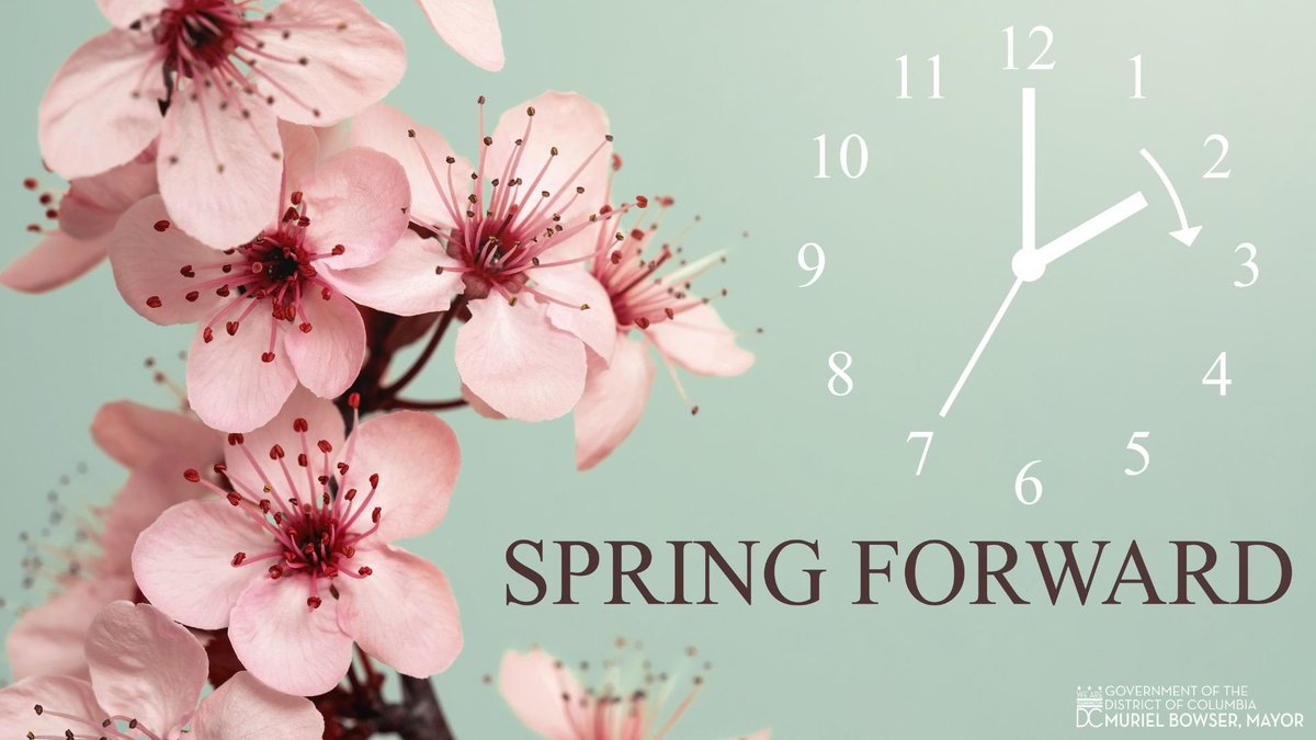 Reminder: It's Daylight Savings time! ⏲️

When you wake up tomorrow, make sure your clocks match devices that automatically update, like your phone—and get ready for later sunsets.