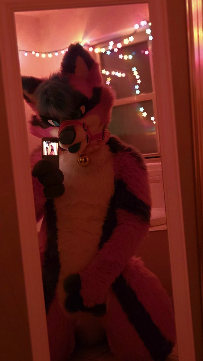 horny puppies are the bestest puppies✨️