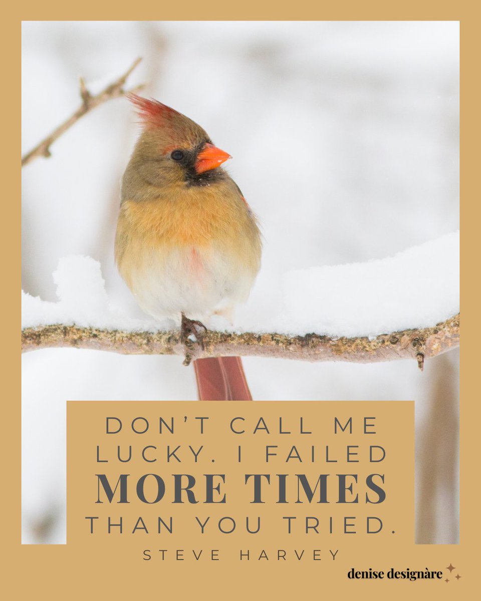 Denise Utter tweet media