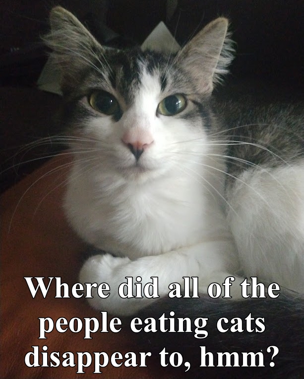 Kev The Rev (FHL Ministries) (@mutathecat2022) on Twitter photo 