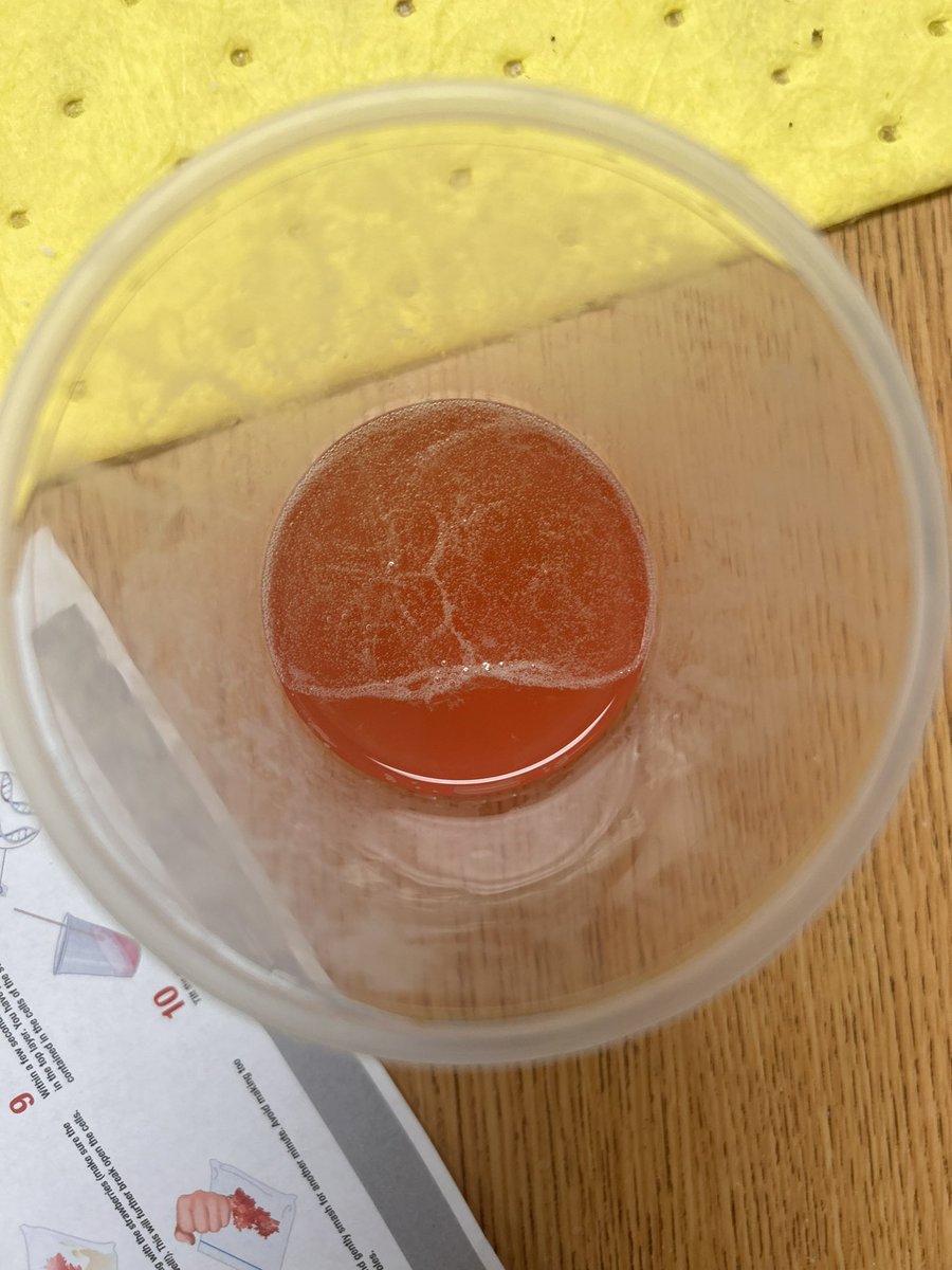 Future Leaders of STEM members extracted DNA from a strawberry! Dr. Mitchell was wonderful!