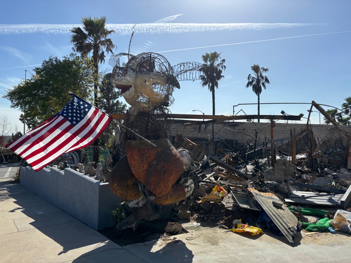 Still a burn site at The Bunny Museum, but we moved "Roller Bunny" (1999 Rose Parade float) out front.  Painted the flower box and planted garden bunnies. No more vegetation, thank-you-very-much. Re-planted ivy which will grow up and over Roller again. (The ivy did not burn!)