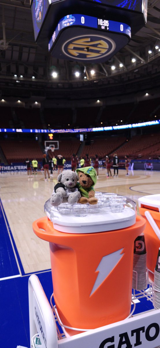 We're ready!  Taking on Oklahoma at 4:30 eastern time on ESPN! #basketballbears 🐻🏀🐻‍❄