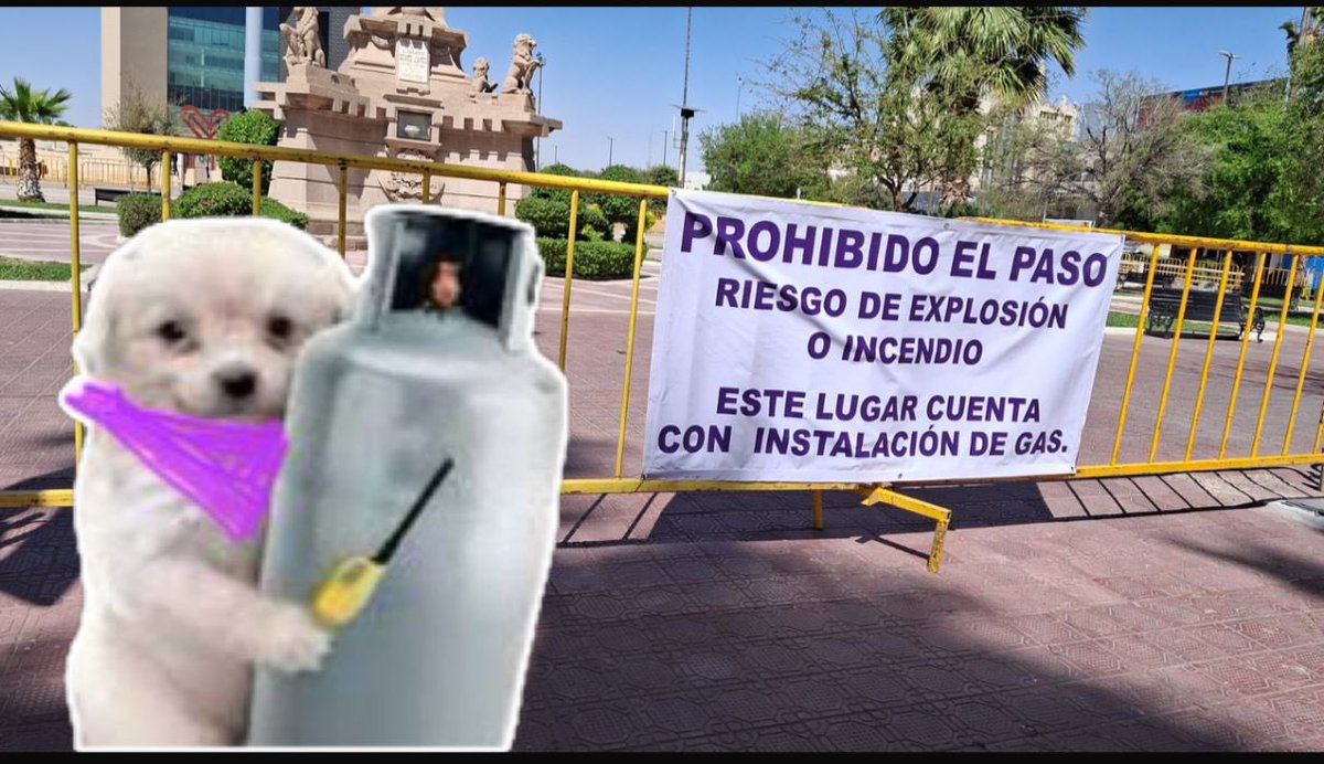 Todas hoy en #PlazaMayor o qué 🤭🔥💜 #Marcha8M 

No te tenemos miedo <a href="/RomanCepeda/">Román Alberto Cepeda</a> 

#marcha8m #8m #TorreónSiemprePuedeMás #CoahuilaPaDelante