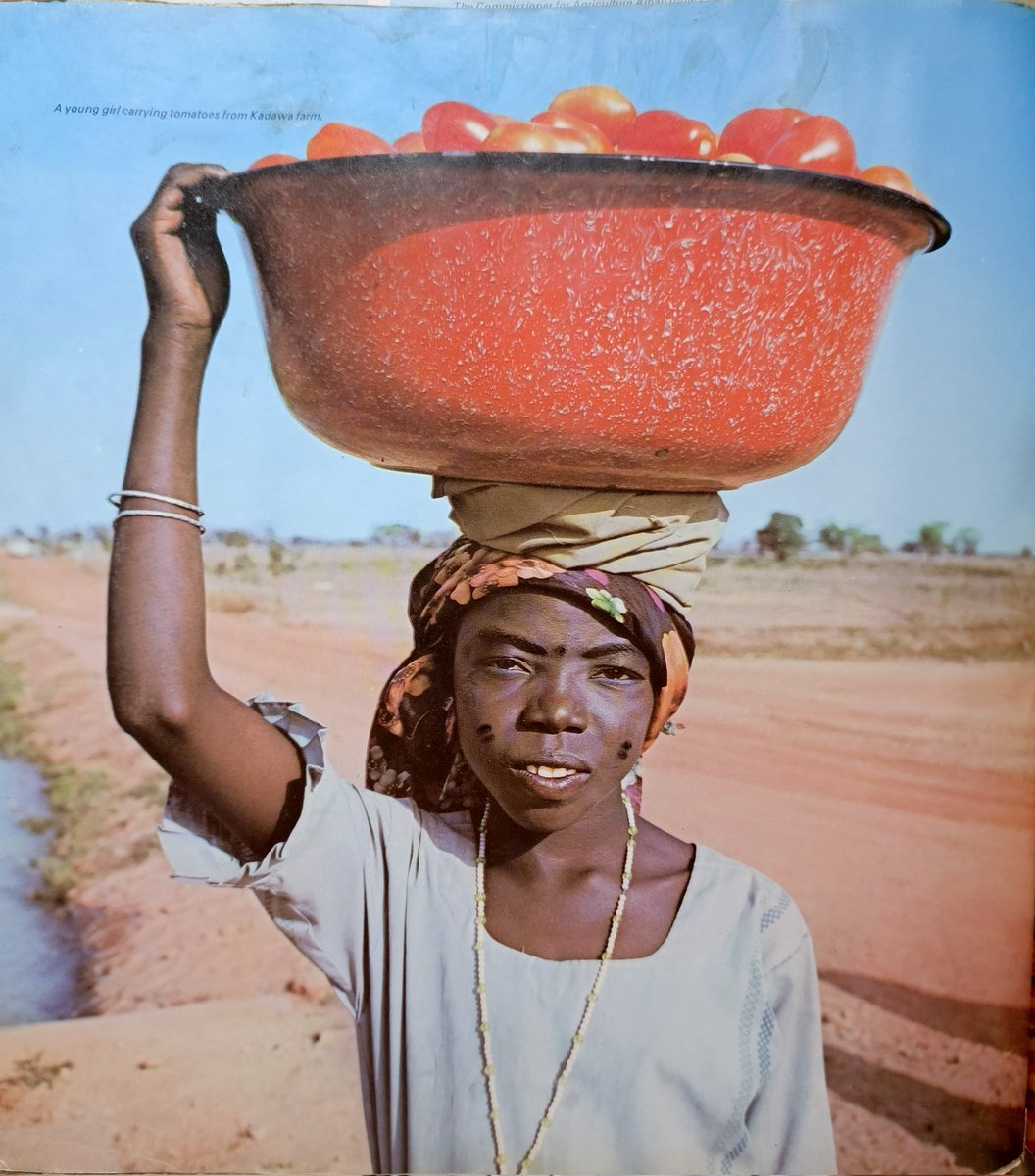 A Girl carrying tomatoe from a farm in 1970s.
#tsohuwarajiya #nostalgic #flashback