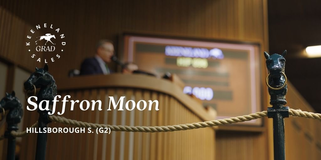 Keeneland Sales (@keenelandsales) on Twitter photo #KeeSept grad SAFFRON MOON captures the Hillsborough S. (G2) this afternoon at <a href="/TampaBayDownsFL/">Tampa Bay Downs Official Account</a>! Many congratulations to the winning connections!
C: <a href="/vinerysales/">Vinery Sales</a>
Bu: Sitak Stable
Br: Cove Springs Farm LLC
O: CHP Racing
T: Chad Brown #KeeSept grad SAFFRON MOON captures the Hillsborough S. (G2) this afternoon at <a href="/TampaBayDownsFL/">Tampa Bay Downs Official Account</a>! Many congratulations to the winning connections!
C: <a href="/vinerysales/">Vinery Sales</a>
Bu: Sitak Stable
Br: Cove Springs Farm LLC
O: CHP Racing
T: Chad Brown