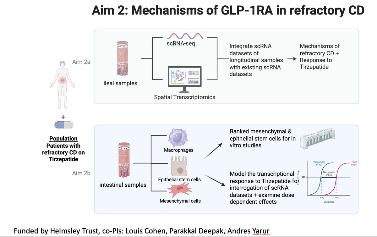 Parakkal Deepak MD, MS, FACG (@p_deepakibdmd) on Twitter photo Interesting paradigm of adding GLP1RAs in patients with #IBD with positive clinical outcomes reported from multiple centers, whether impact on VAT compartment &/or epithelial healing, to be studied in upcoming trial funded <a href="/HelmsleyTrust/">Helmsley Charitable Trust</a> led by #LouisCohen myself & <a href="/AndresYarur/">Andres Yarur</a> Interesting paradigm of adding GLP1RAs in patients with #IBD with positive clinical outcomes reported from multiple centers, whether impact on VAT compartment &/or epithelial healing, to be studied in upcoming trial funded <a href="/HelmsleyTrust/">Helmsley Charitable Trust</a> led by #LouisCohen myself & <a href="/AndresYarur/">Andres Yarur</a>