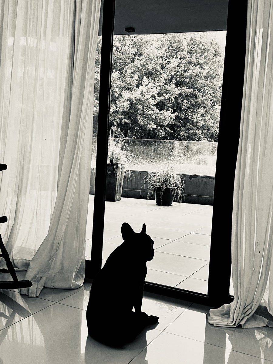 Gazing into the rain