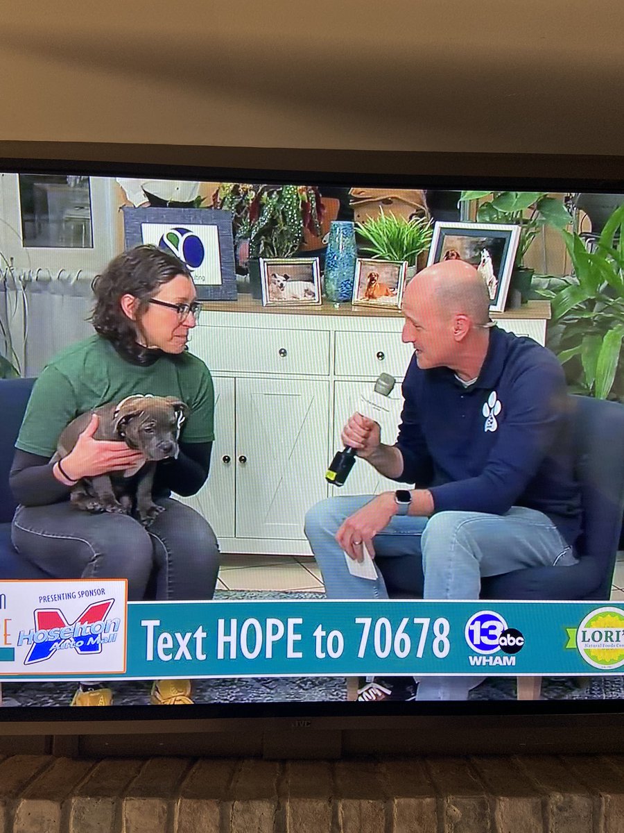 And <a href="/Wxandgardenguy/">Mark McLean</a> <a href="/13WHAM/">13WHAM</a> 
13wham.com