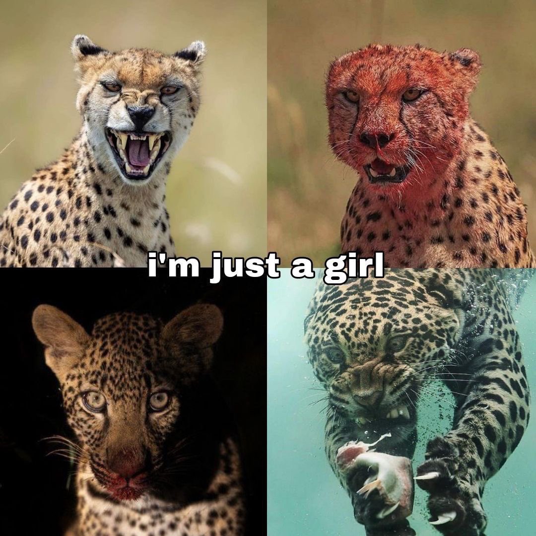Content from downwiththethiccness