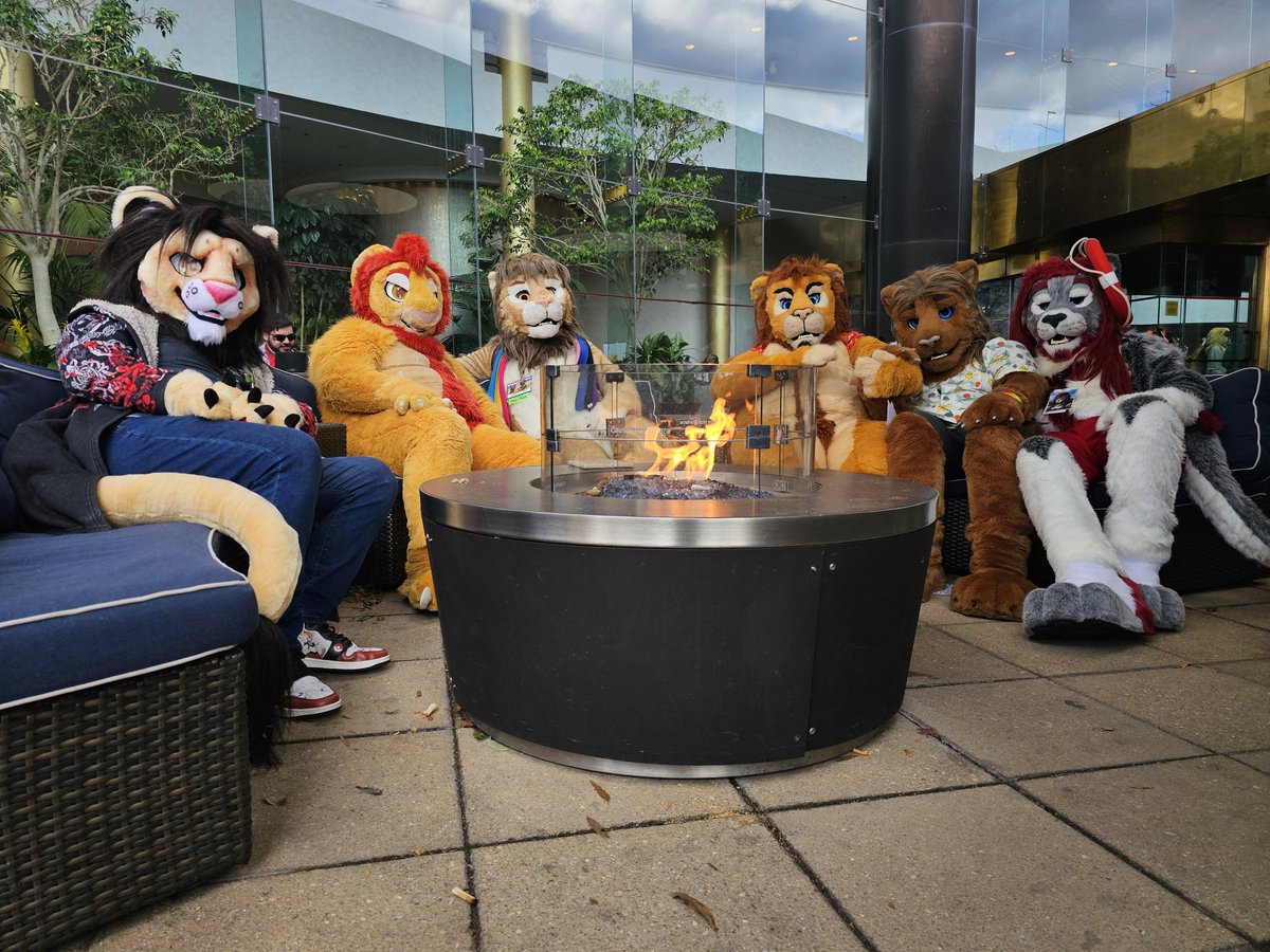 Look at all this royalty!! 

Quick lion shoot at #furthemore2025