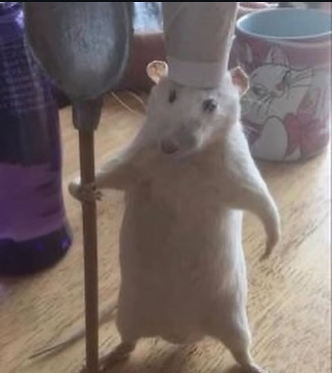 Everything Out Of Context tweet media