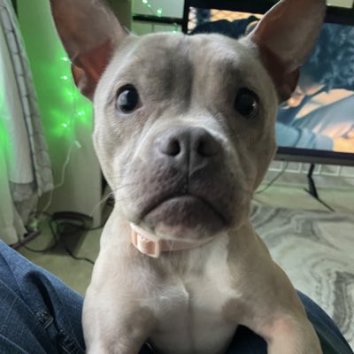 #NewProfilePic