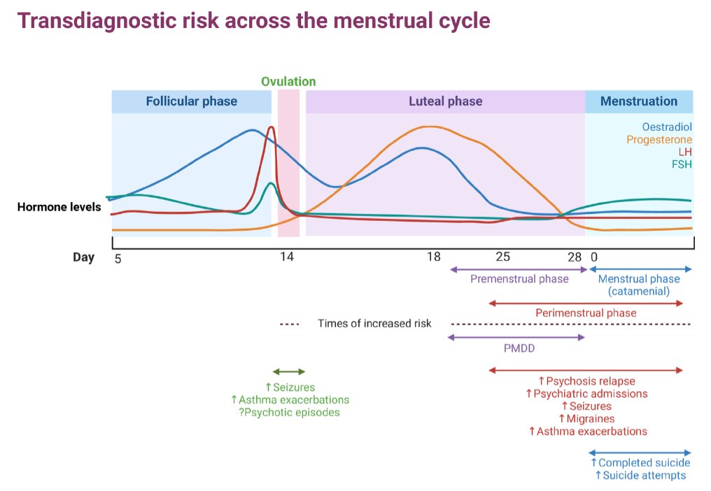 The menstrual cycle is an overlooked vital sign in psychiatry.

🧵1/13