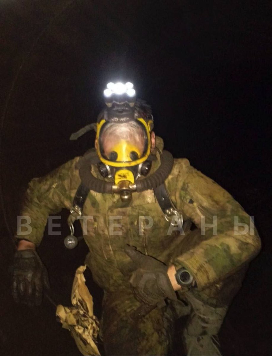 Alexander A tweet media