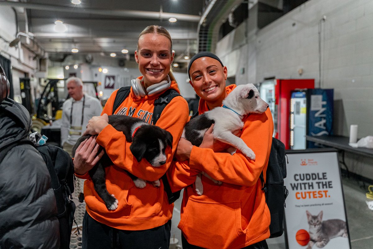 OSU Cowgirl Basketball tweet media