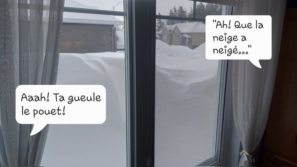 JeffdeStGermain's tweet image. Deux points de vue de la même journée. 👇🏽🤪 #neige #tanné