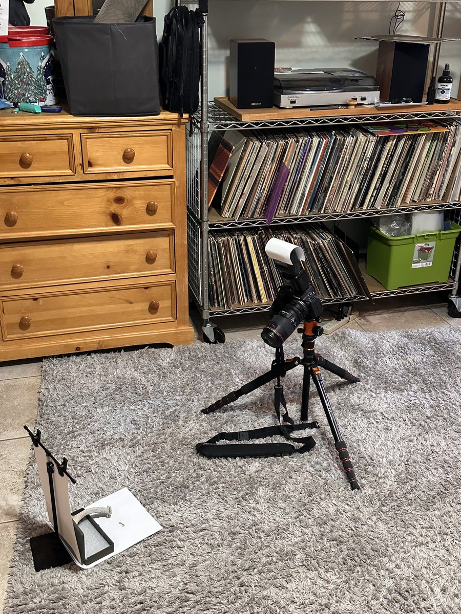 Capturing the Groove: A Macro Journey Through My Timeless Vinyl Collection all the way back to the 30s! <a href="/AUDIOAPEXX/">🔊AUDIO APEX🔊</a>