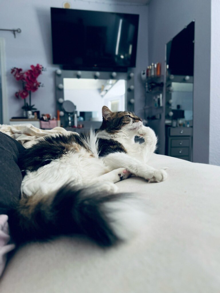 Spaces.Media tweet media