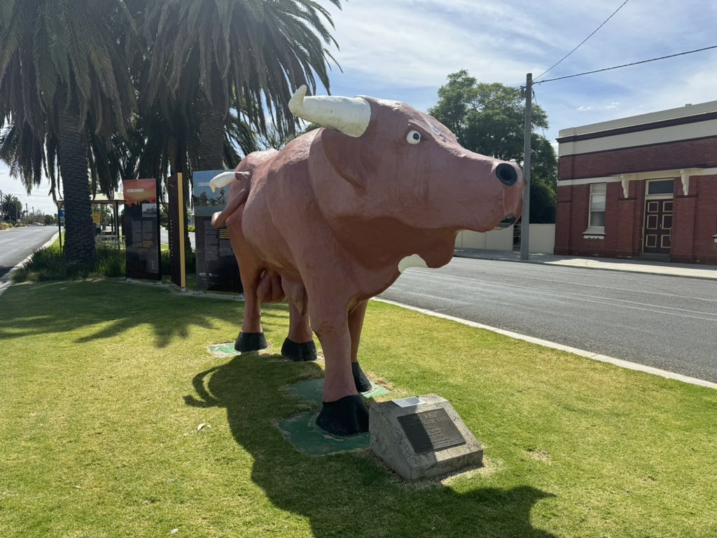 Let’s goooooo 🐂

<a href="/BirchipHarness/">Birchip Harness R.C</a>