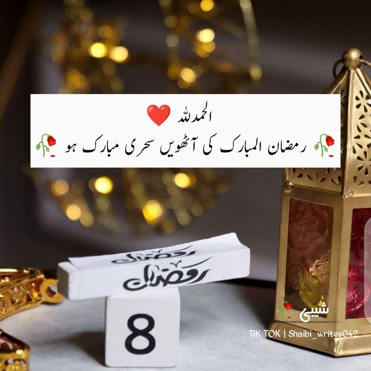 اَلسَلامُ عَلَيْكُم وَرَحْمَةُ اللهِ وَبَرَكاتُهُ💞

صبح بخیر 🍂