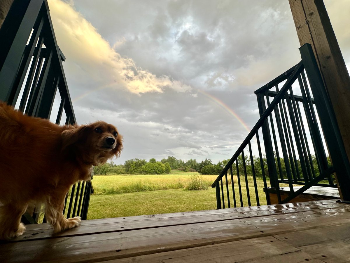 Eden Fine Day (@eden_fine_day) on Twitter photo if you ever do want to come to saskatchewan <a href="/ChappellRoan/">Chappell Roan</a> we’ve got some land and a house where you can stay 🥹 if you ever do want to come to saskatchewan <a href="/ChappellRoan/">Chappell Roan</a> we’ve got some land and a house where you can stay 🥹