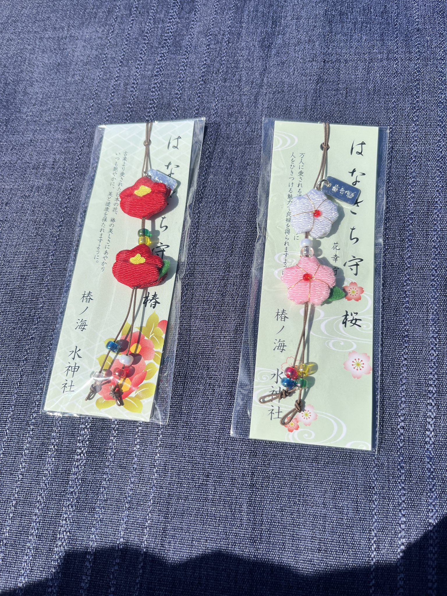 椿ノ海水神社さん限定 御朱印帳販売のお知らせ⛩✨ 今週末の