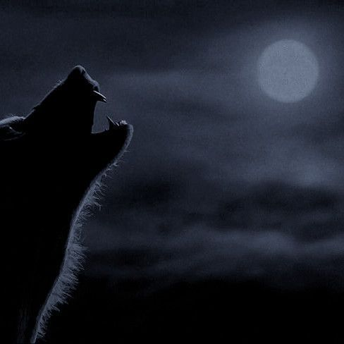 Remus J. Lupin tweet media