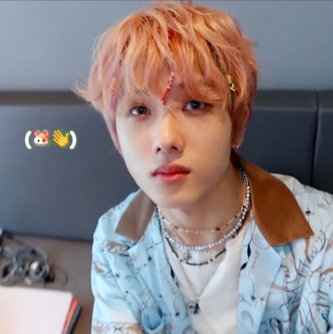 my cat                    my bias <3