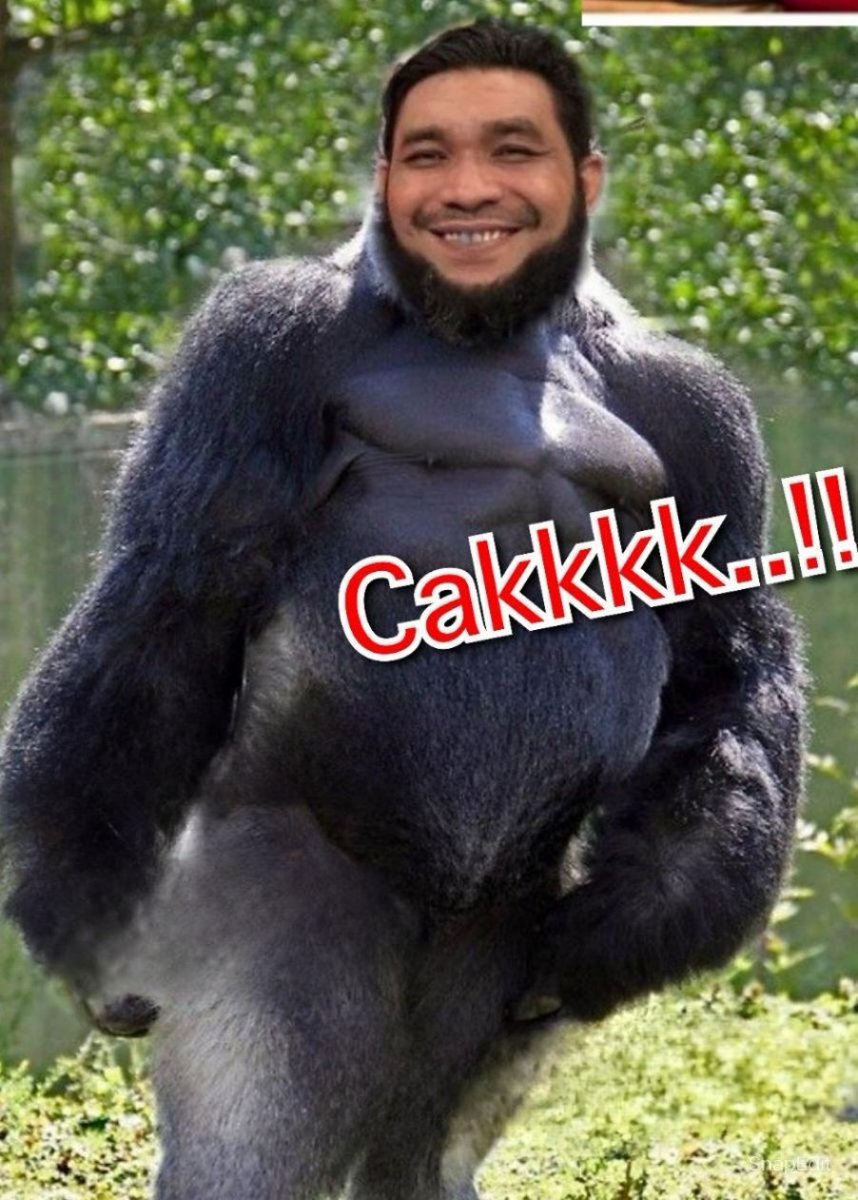 TANGKAP GORILLA INI DULU..!! sbb Gorilla ni Terlepas lari dan Menyelinap masuk Malaysia dari hutan Amazon