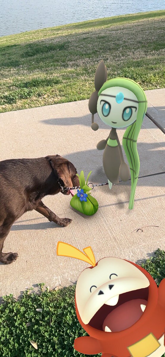 Benitonya's tweet photo. 🐕🐊🎤 https://t.co/eXJBg0sMCz