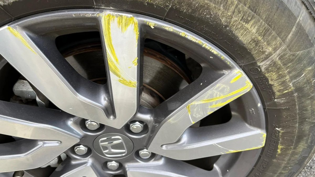 James Schanewolf Jr. tweet media