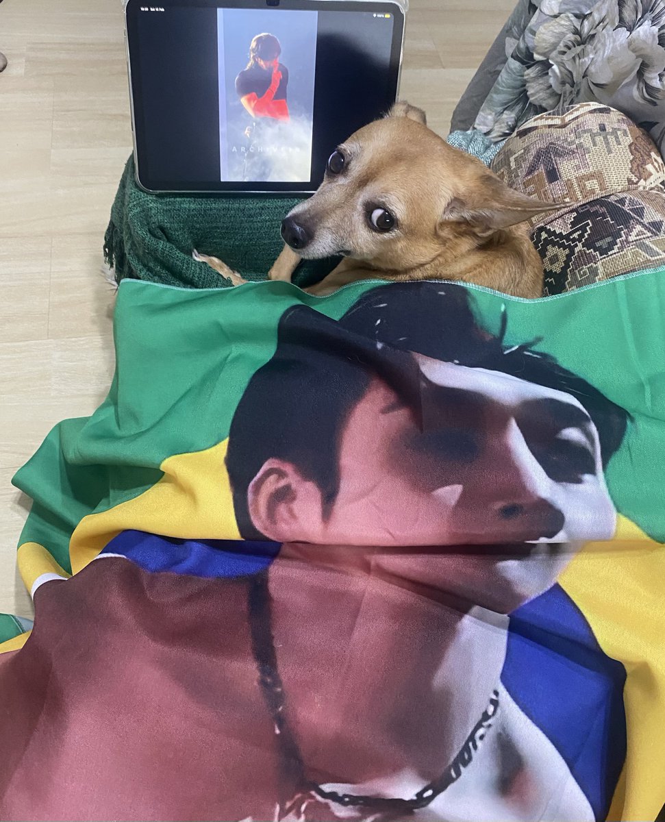 channieverses's tweet image. desculpa, mas vocês não são os maiores fãs do bang chan

ele é