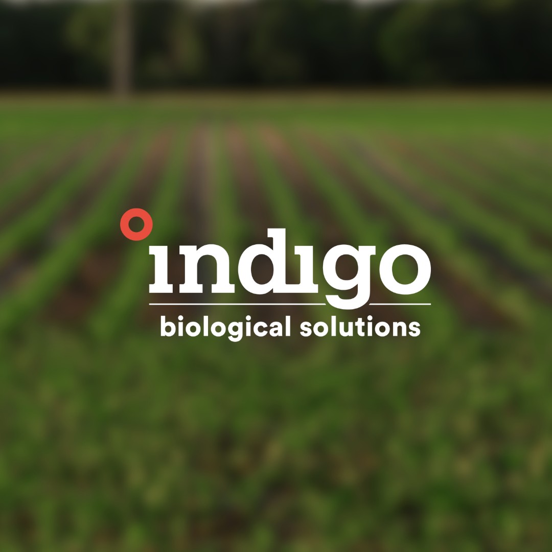Give your crops the best start with biotrinsic®! This dry powder enhances plant health, improves nutrient uptake, and builds resilience—all season long.

Talk to your local #FS Crop Specialist to learn more! #Plant25
