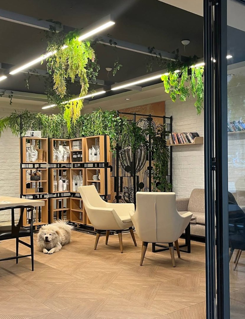 🐾Espresso Check, Ankara, hem sakin çalışma alanı arayanlar hem de hayvan dostu mekanları tercih edenler için mükemmel! Bu mekan, hem işlerinize odaklanabileceğiniz hem de sevimli dostlarınızla birlikte vakit geçirebileceğiniz rahat bir ortam sunuyor. 💻✨

Daha fazla bilgi ve