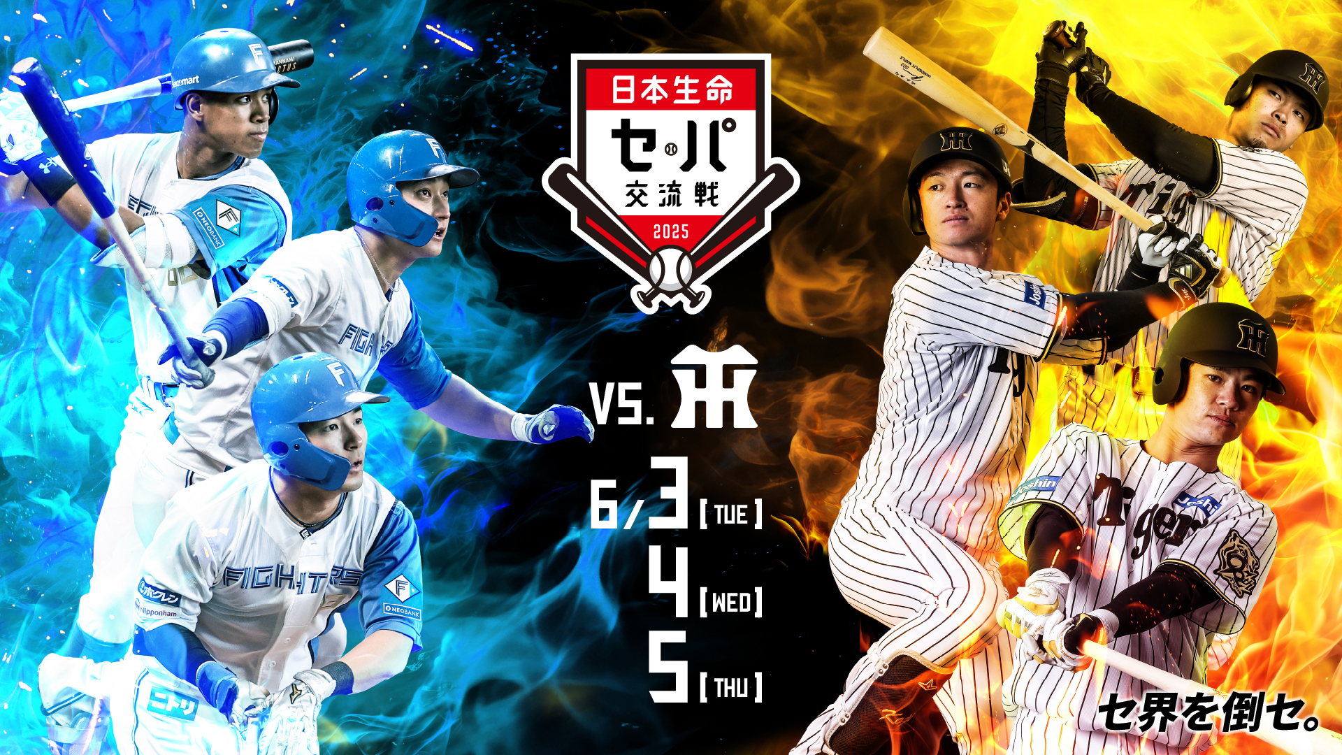 未開封！熱狂V1!-2003年阪神タイガース全記録-〈初回限定生産・6枚組〉 Amazon.co.jp: Sports Graphic Number（臨時増刊）「阪神