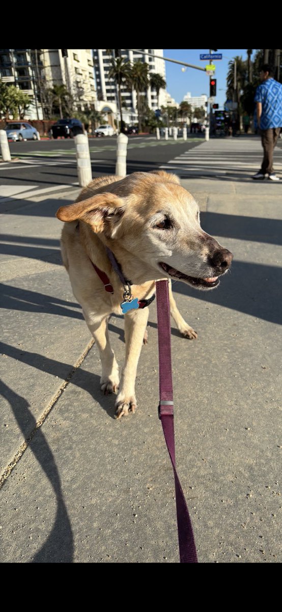 Jackson basking in the California sun!