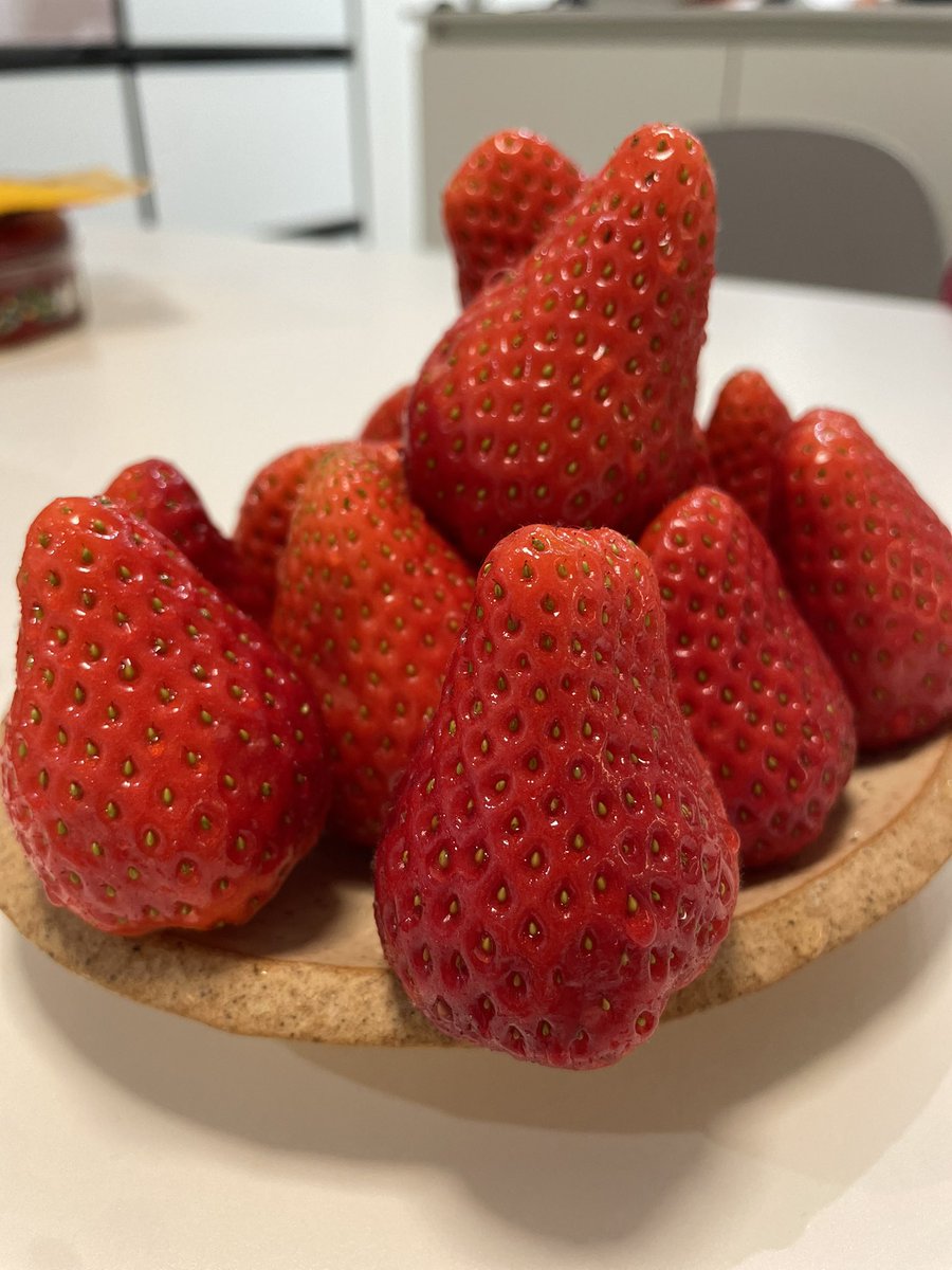 좋은 아침✨ 딸기모닝🍓