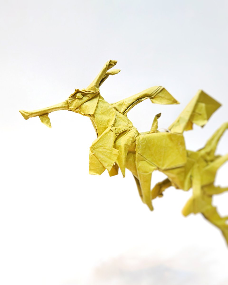 Phycodurus 
Designed by <a href="/SURPRISEST1/">SURPRISE（ST）</a> 
Folded by me 
50×50cm Miogami