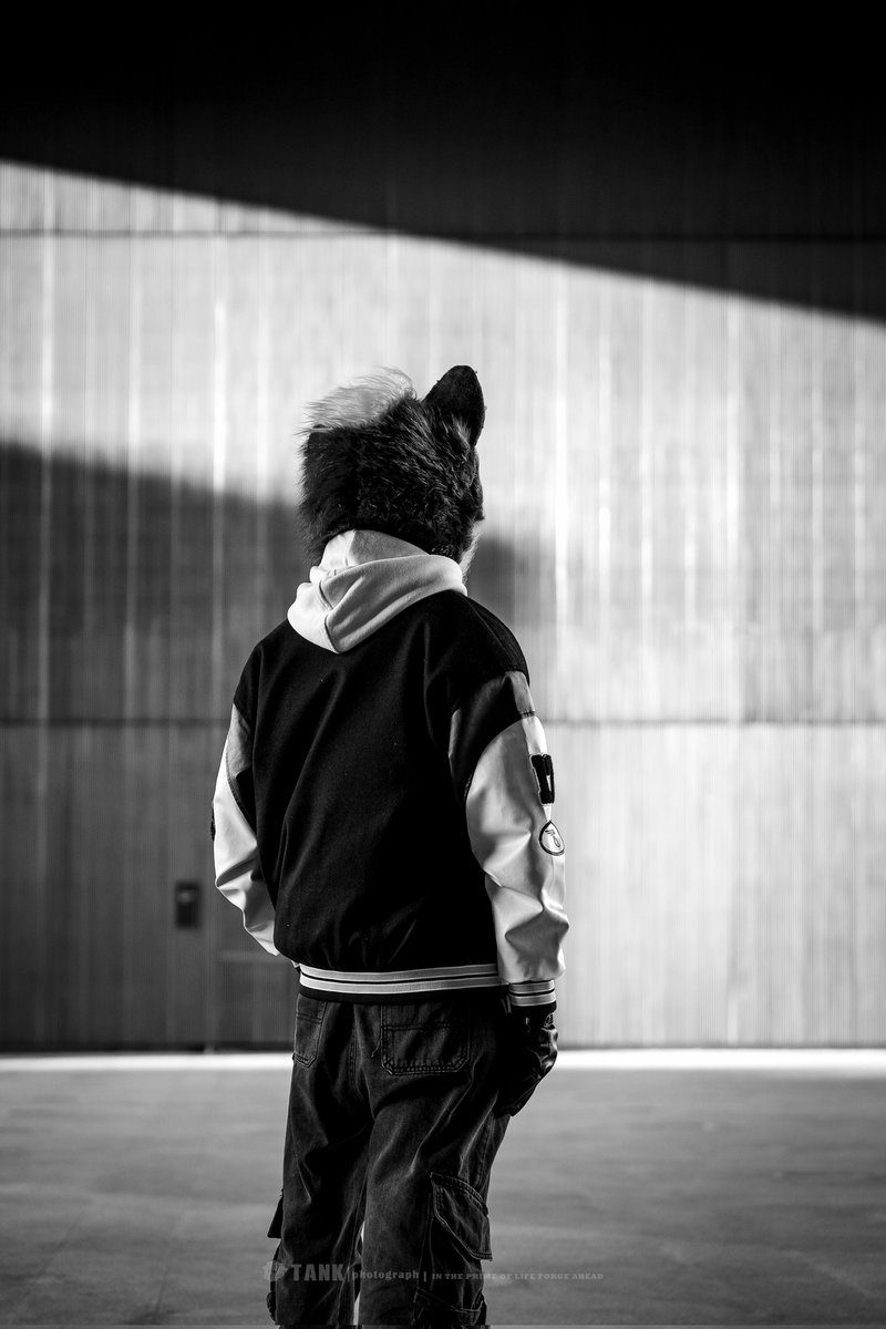 #furry #fursuit #FursuitEveryday #FursuitFriday 
📷:<a href="/JoshBeikal/">Beikal</a>