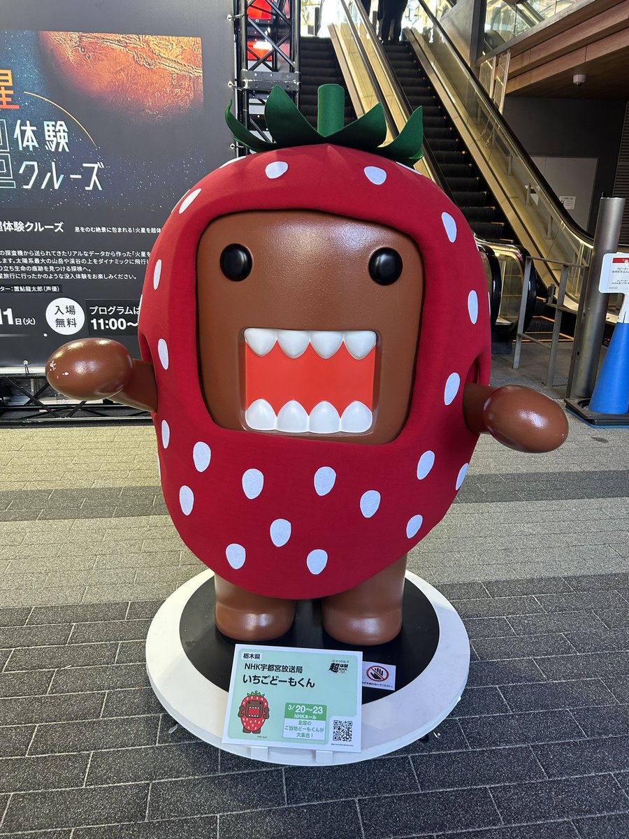 ご当地どーもくん | ミュージアム | トーシンパック