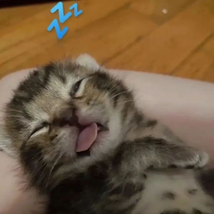 day seecks final push 👏