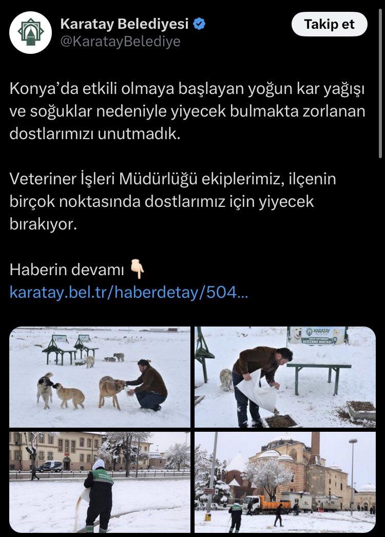 erciyesinavazi's tweet photo. @narodnikl @RTErdogan @diyanetbasin Bir de bu kanunsuz genelge ile oluşturulan ve yol kenarında köpek besleyen  #Haydi uygulaması derhal iptal edilmeli acilen kanunun gereği hayvan polisi uygulamasına geçilmelidir.
#HayTab, Hayvan Takip Birimi yaralı hayvanları takip edecek acilen başıboş köpekleri toplayacaklar. https://t.co/wGkgXneJwh