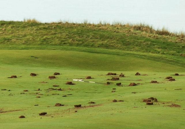 Trump’s golf course in Turnberry, Scotland was vandalized overnight by Palestine solidarity activists.