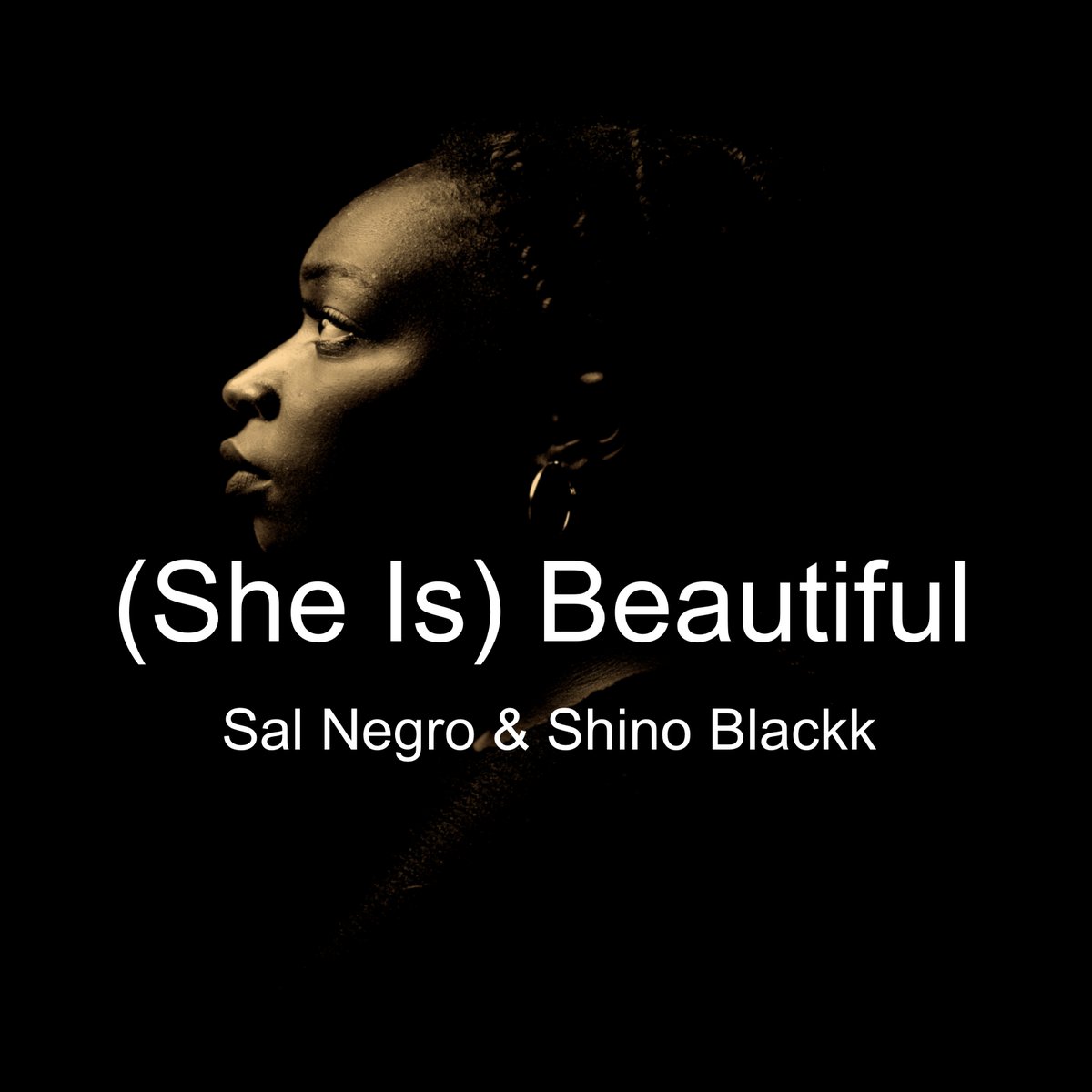 Available now!
(She Is) Beautiful 
On vinyl
elasticstage.com/salnegro/relea…