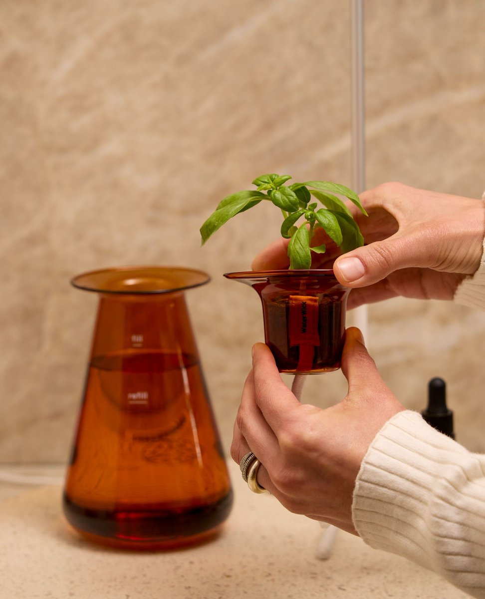 Fresh flavors, right at your fingertips. 🤌 ⁠Bundles now available for pre-order! ⁠